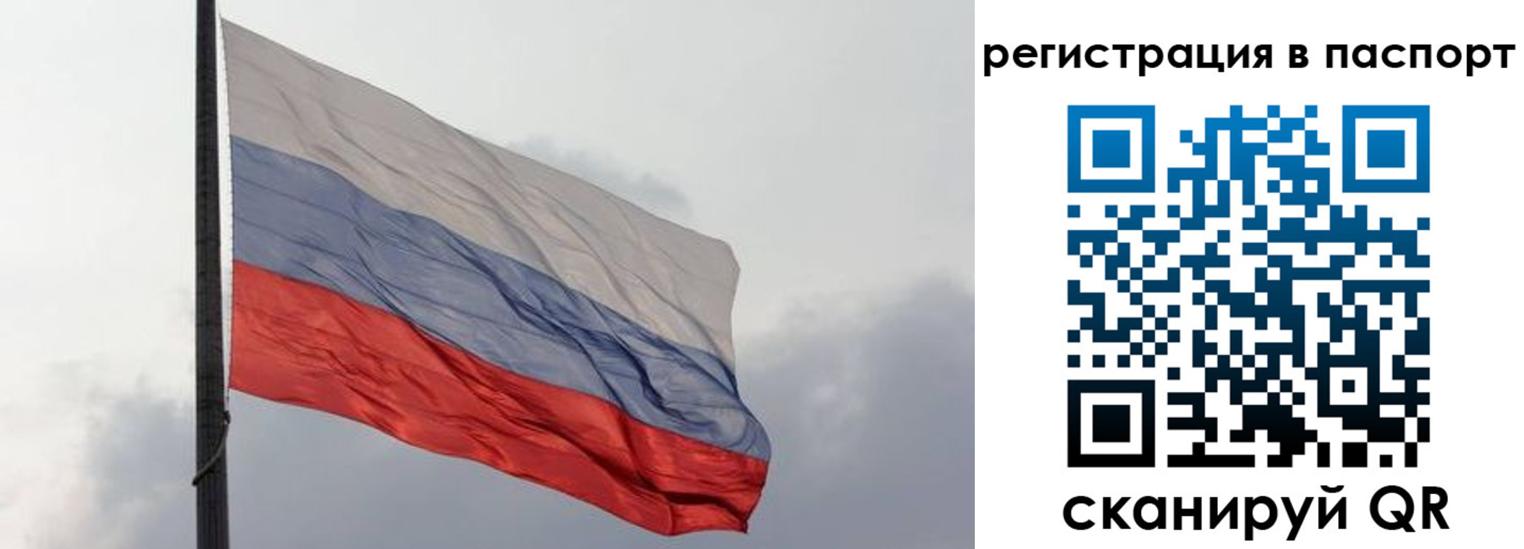 прописка для школы в Отрадном